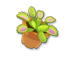Potted Bug-Eating Plant